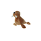 Tuffy's Mighty Jr Arctic Walrus Durable Dog Toy