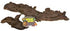 Zoo Med Mopani Wood Reptile Habitat Accessories - Large