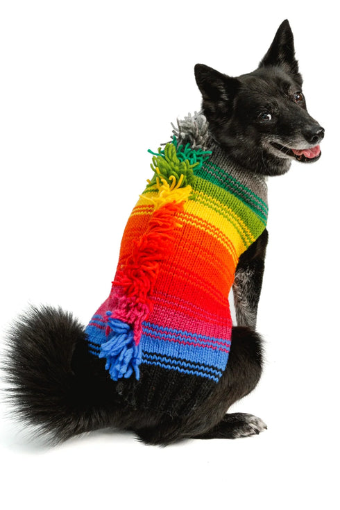 Chilly Dog Knitted Dog Sweater - X-Large - Rainbow Mohawk