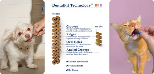 Groovies Dental Senior Dog Chews - Large - Individual Chew