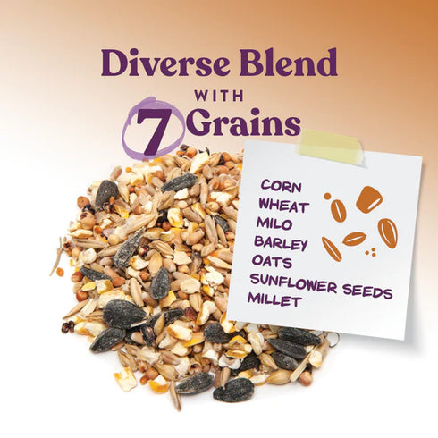 Manna Pro 7-Grain Ultimate Scratch With Corn Treats For Chickens - 10lb Bag