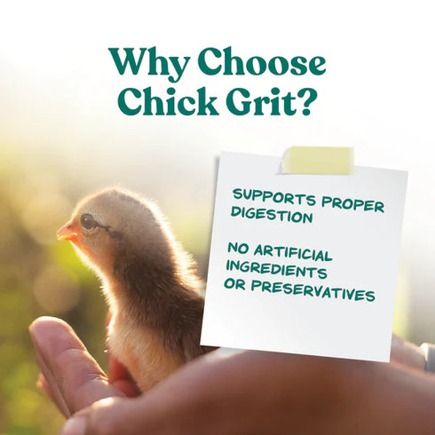 Manna Pro Chick Grit with ProBiotics Supplement For Chickens - 5lb Bag