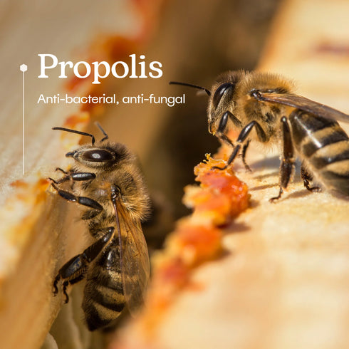 Manuka Vet Wound Spray - 4oz Spray Bottle