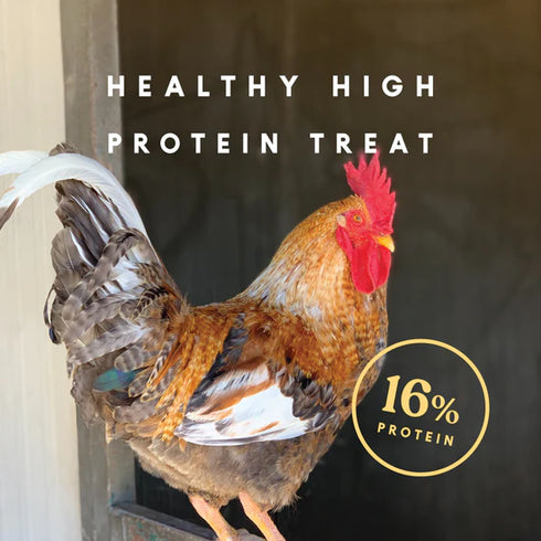 Mana Pro Mealworm Medley Cake Treats For Chickens - 19.5oz Brick