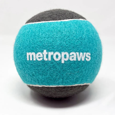 Metro Paws XL Squeaker Tennis Ball Dog Toy - 4" - Seafoam