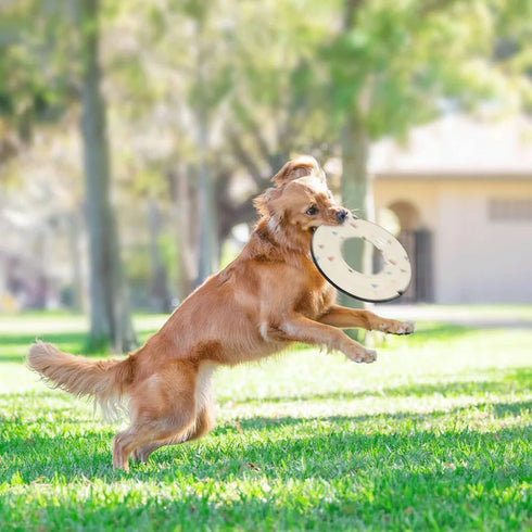 Olly Dog Mini Super Flyer Dog Flying Disc - Terrazzo