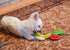 Multipet Minipet Rubber Fruit Dog Toy - Assorted Types