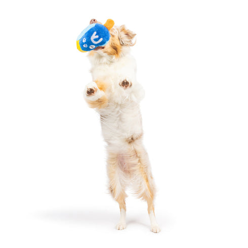 Huxley & Kent Mutt-Zel Tov Dreidel Dog Toy