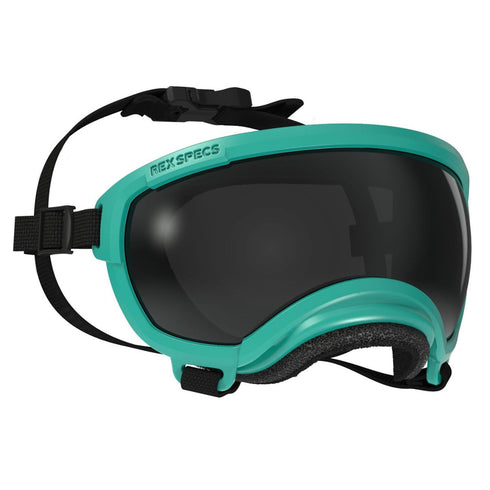 Rex Specs Goggles for Dogs - V2 Small Tazer Teal - Poudre Pet & Feed Supply