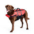 ZippyPaws Adventure Dog Lifejacket Large