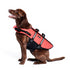 ZippyPaws Adventure Dog Lifejacket X-Large