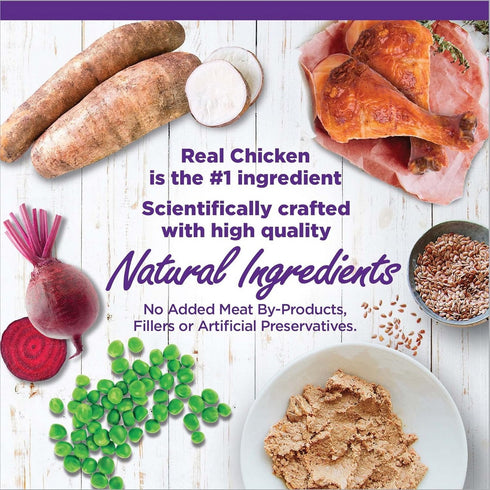 Wellness Complete Health Age Advantage Pate 7+ Chicken Cat Food 3oz - Poudre Pet and Feed Supply