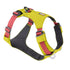 RuffWear Hi & Light Lightweight Dog Harness L/XL Lichen Green - Poudre Pet & Feed Supply