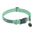RUFFWEAR Hi & Light Lightweight Dog Collar, Sage Green, 11"-14" - Poudre Pet and Feed Supply