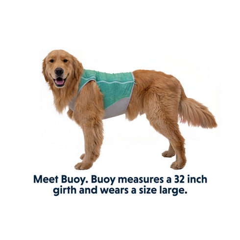RuffWear Swamp Cooler Zip Vest Medium Aurora Teal - Poudre Pet & Feed Supply 2