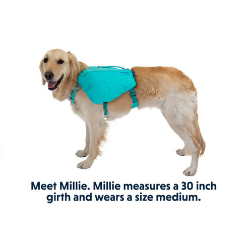 RuffWear Front Range Day Pack Small Aurora Teal - Poudre Pet & Feed Supply 7