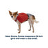 RuffWear Front Range Day Pack Small Red Clay - Poudre Pet & Feed Supply 7