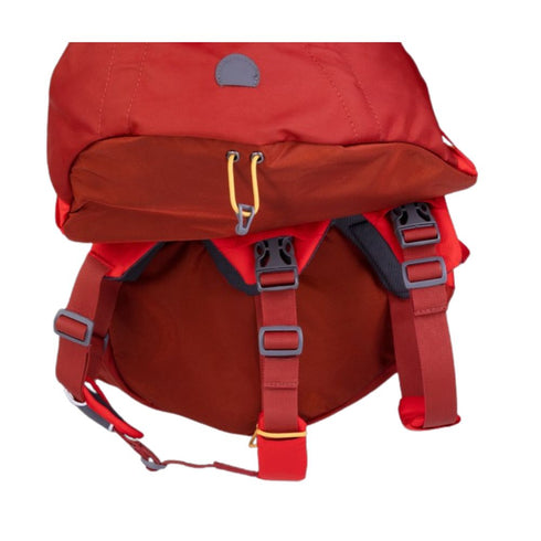 RuffWear Palisades Dog Backpack L/XL Red Sumac Poudre Pet & Feed Supply 7