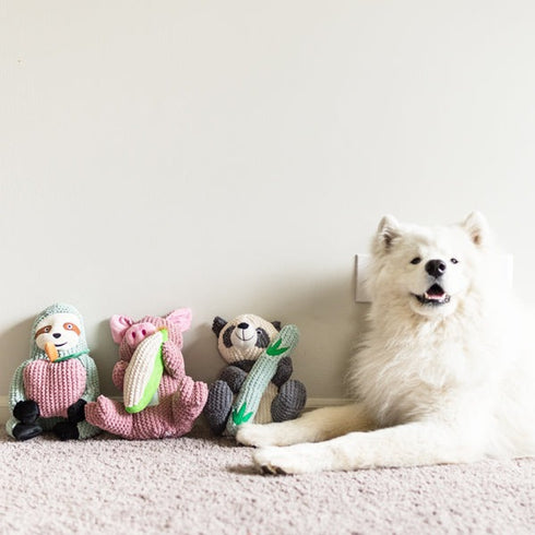 PatchWork Pet Maizey The Pig 15" Dog Toy Poudre Pet & Feed Supply 5