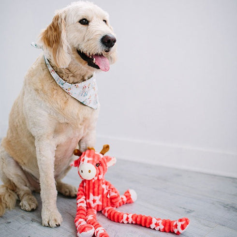 PatchWork Pet Gigi Giraffe 24" Dog Toy Poudre Pet & Feed Supply 5