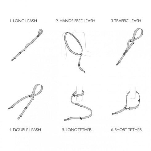 EzyDog Vario 6 LITE Leash for Dogs Red - Poudre Pet and Feed Supply