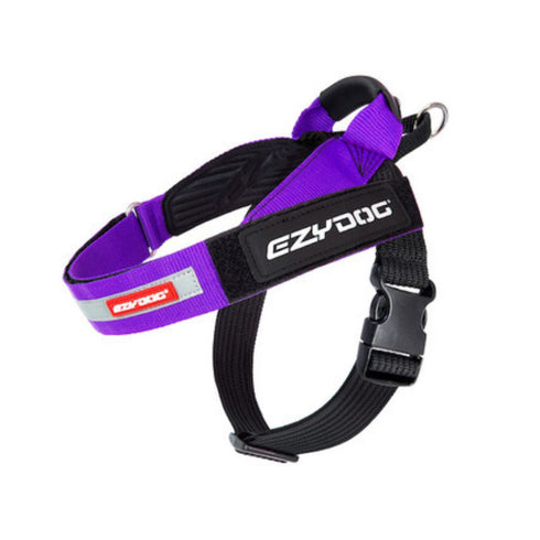 Ezydog Express Dog Harness Purple S - Poudre Pet and Feed Supply
