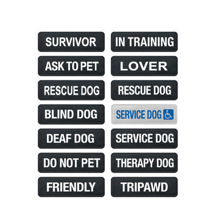 Ezydog Side Badge Ask to Pet For Dogs S - Poudre Pet and Feed Supply