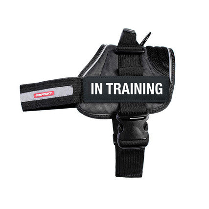 Ezydog Side Badge Ask to Pet For Dogs L - Poudre Pet and Feed Supply