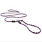 EzyDog Luca LITE Lead Purple for Dogs - Poudre Pet and Feed Supply