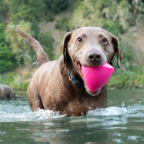 Ruff Dawg- Dawg X Dog Toy poudrefeed.com 2