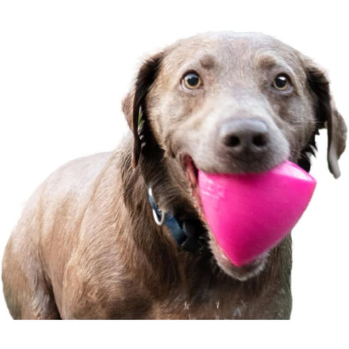 Ruff Dawg Dawg-X Dog Toy XL - Poudre Pet & Feed Supply 2