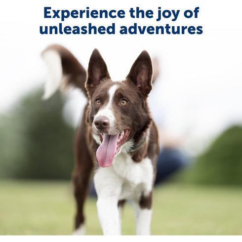 PetSafe 100 Yard Lite Remote Trainer Collar Small Medium - Poudre Pet & Feed Supply 4