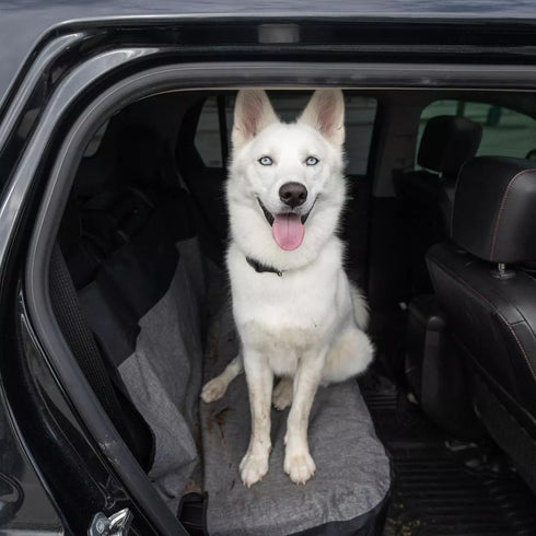 Bergan Auto Bench Seat Protector poudrefeed.com 2