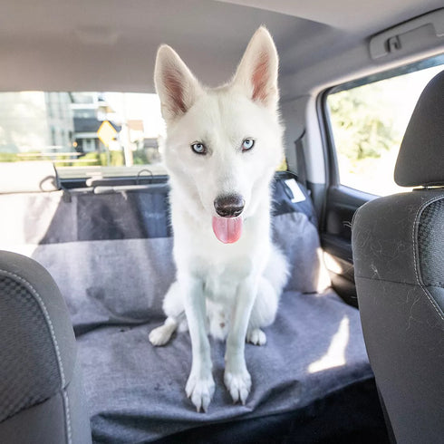 Bergan Auto Wide Bench Seat Protector poudrefeed.com 3