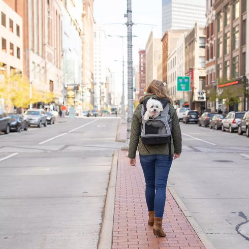 Bergan Backpack Pet Carrier poudrefeed.com 5