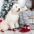 Pearhead Buffalo Check Santa Human and Dog Sock Set - Poudre Pet & Feed Supply 2