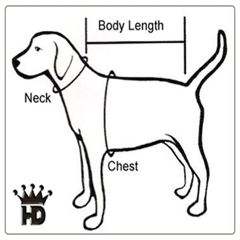 NFL Denver Broncos Dog Harness Vest XXL - Poudre Pet & Feed Supply 4