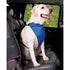 Guardian Gear Nylon Lift & Lead 4-in-1 Dog Harness Large Blue - Poudre Pet & Feed Supply 3