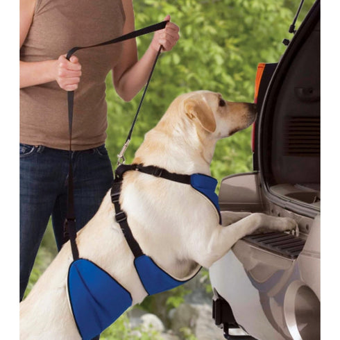 Guardian Gear Nylon Lift & Lead 4-in-1 Dog Harness Large Blue - Poudre Pet & Feed Supply 4