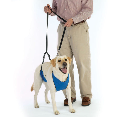 Total Pet Health Lift & Lead 4 in 1 Extra Large