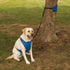 Total Pet Health Lift & Lead 4 in 1 Extra Large