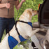 Total Pet Health Lift & Lead 4 in 1 Extra Large