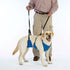 Total Pet Health Lift & Lead 4 in 1 Extra Large