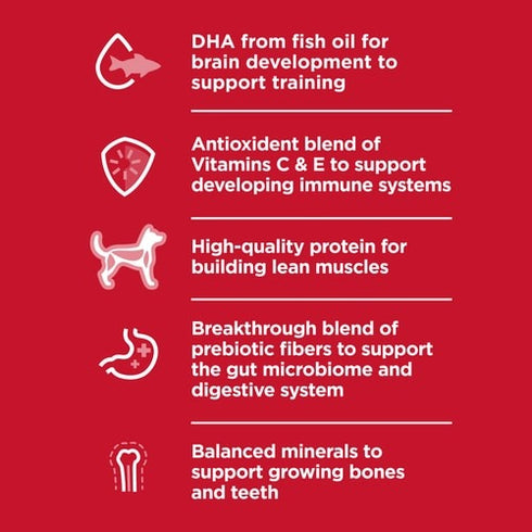 Science Diet Puppy Large Breed Lamb Meal & Brown Rice Dry Dog Food 30lb poudrefeed.com 4