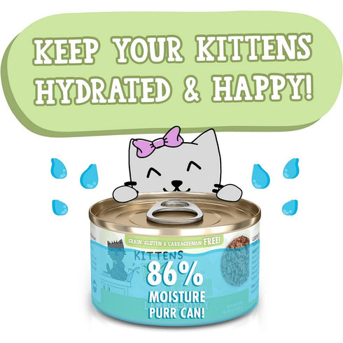 Weruva Lamb Recipe Au Jus Lambur-Kitty Wet Cat Food 3oz - Poudre Pet and Feed Supply