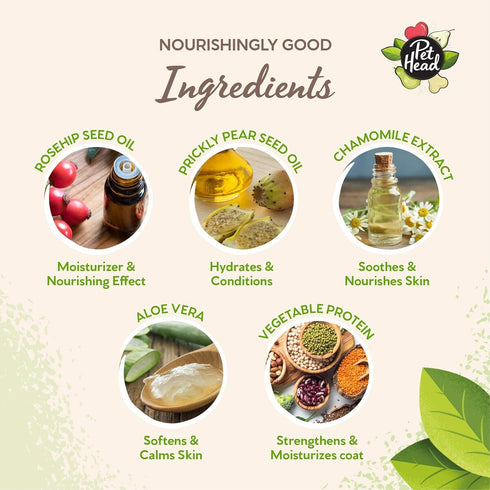 VSI Pet Head Puppy Shampoo Mucky Puppy Pear Scent Wet Pet Shampoo 16 fl oz - Poudre Pet and Feed Supply