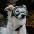 Rex Specs Pike Purple Dog Goggles SM