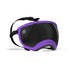 Rex Specs Pike Purple Dog Goggles SM