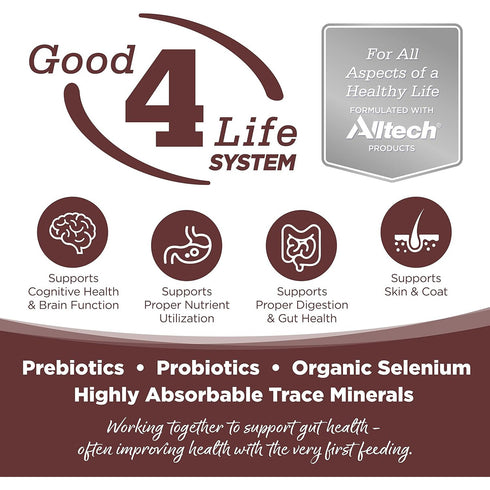 NutriSource Grain Free Prairie Select Recipe Dry Dog Food 26lb Bag