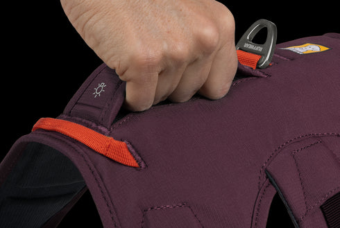 RuffWear Web Master™ Dog Harness with Handle Purple Rain M
